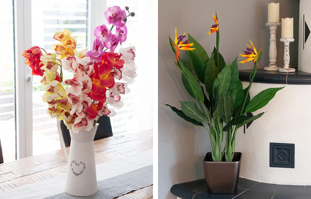 Orchideen-Arrangement, Strelizie